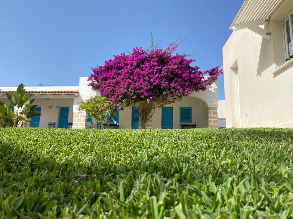 Antichi Mulini Hotel Ilha de Ilha de Favignana Exterior foto